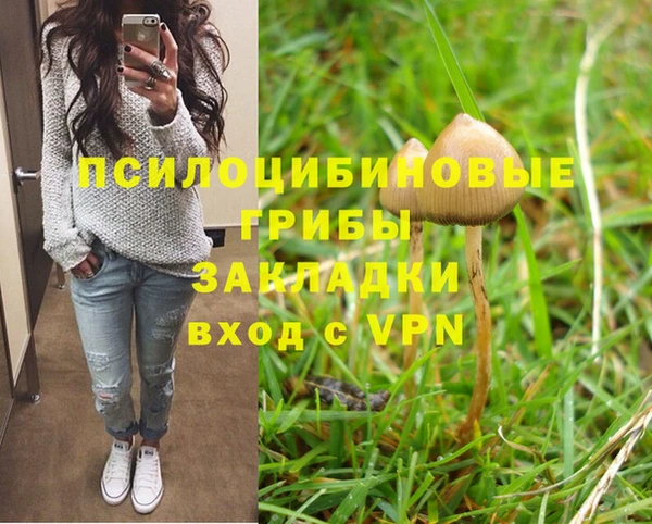 мяу мяу мука Вяземский